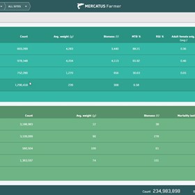 Feeding System: Feeding System